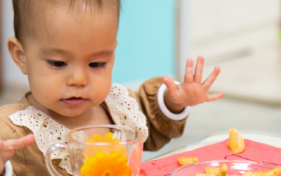 10 Nut-Free Snacks To Take To A Toddler’s Playdate