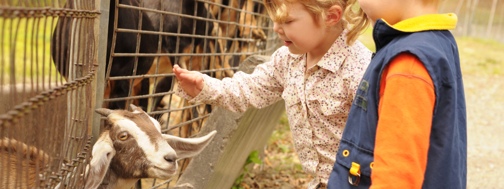 toddler party alternatives - the photo shows some children at a farm with a goat